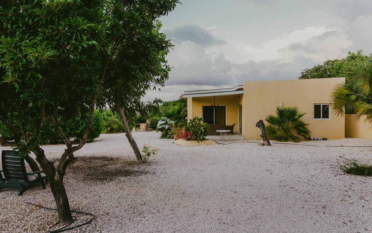 Hidden Garden Aruba Hotel Babijn Habitación foto